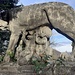 Lupa romana a Mondonico 
