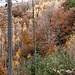Herbst in den Löwensteiner Bergen.