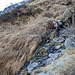 Passaggio del canale di Canal Piano