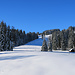 schönste Winterlandschaft etwas oberhalb Urnäsch