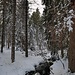 Bächlein