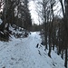 Il sentiero si mantiene sempre largo e ben visibile (impossibile sbagliare anche con la neve) e sale con buona pendenza.