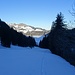 Blick aus dem Staldegrabe retour...