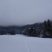 Start unter dem Nebel in Burgholz