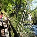 im Zauberwald