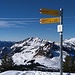 Gipfel Gulme 1788m