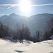 Nochmals etwas sünnele auf Grüt, bevors skifahrend neben Stechpalmen zurück...
