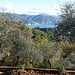 Discesa a Portofino