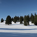 Am Mont Raimeux. 