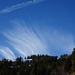 feine Wolkendynamik über der Scheidegg ...
