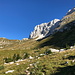Im Aufstieg zum Jôf di Montasio - Höhehaltend bzw. moderat ansteigend wandern wir über Bergwiesen mit Murmeltieren und herrlichem Blick auf die Montasch-Südflanke.