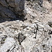 Im Aufstieg zum Jôf di Montasio - Rückblick auf das kurze, steile Klettersteig-Stück.