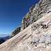 Im Abstieg vom Jôf di Montasio - Hier wieder auf dem unteren Gerölfeld, begleitet von Steinböcken.