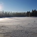 Am Etang des Royes.