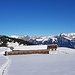 Alp Salaz im Rückweg