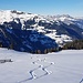 Erstaunlich schöner Pulver am Stelli