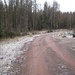 Bei dieser Wegekreuzung oberhalb des Rockensteins werde ich gleich nach links auf einen schmalen Pfad Richtung Mittelberg abbiegen. Zunächst suchte ich aber noch zwei Felsen, die im Wald rechts des Hauptweges stehen.