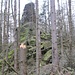 Die im Wald stehende Fingerklippe ragt wie ein Finger empor. "Klippe" ist ein im Gebiet des Harzes oft verwendetes Wort für Felsen.