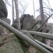 In der Felsenlandschaft am südöstlichen Ende des Meinebergs. Auch hier wieder garniert mit umgestürzten Bäumen.