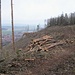Am Stumpfrücken entlang, zunächst auf einem breiten Weg. Unten liegt Ilsenburg, da muss ich hin. Noch 25 Minuten Tageslicht.