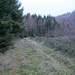Weiter unten weitet sich der Weg auf, und gleich komme ich auf befestigte und beschilderte Wege. Noch 10 Minuten Tageslicht.