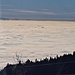 Dazu ein herrliches Nebelmeer