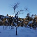Verschneites Flachmoor beim Chapfensee