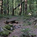 Verfallener Picknickplatz. 