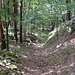 Auf dem Weg zu P.752. 
