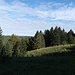 Bei La Michaudie. 