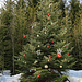 ein geschmückter Weihnachtsbaum mitten im Wald