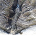 Blick an den Fuß der Staumauer