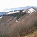 Piano piano ci  si alza di quota con pendenze moderate; guardando indietro si vede un tratto molto caratteristico del sentiero percorso, che passa ai margini di una bella abetaia, mentre in alto si vede uno degli edifici dell’Alpe Cavallotti. In fondo a destra il Mottarone (brutti ricordi…).