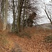 Schöner Aufstiegsweg.<br /><br /><br />