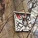 [https://www.hikr.org/user/Makubu/gallery/tags/seltsame_grafik/ Seltsame Grafik] im Abstieg von der Böckterflue zur Ruine Bischofstein.<br /><br /><br />