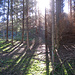 Magisches Licht III