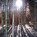 Magisches Licht II
