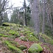 Am Eckkopfgrat führt ein schmaler Wanderpfad aufwärts, durch ein Gelände mit einigen Blöcken und Felsen.