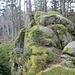Etwas größere Felsen am Eckkopfgrat, wie dieser, können leicht bestiegen werden.
