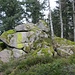 Auch der Kuckuckfelsen am Eckkopfgrat ist leicht besteigbar.