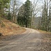 Nach dem Eckkopfgrat folgte ich eine Strecke lang breiten Fahrwegen, und bog hier nach links auf einen unbefestigten Forstweg ab. Dieser Weg ist eigentlich eine Sackgasse, aber er endet an einer spannenden Stelle.