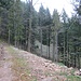 ... und endet dann hier als Sackgasse. Und was folgt schräg rechts? Das große Blockfeld unterhalb des Lachenfelsen/Hornfelsen!
