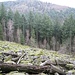 Also hinaus auf das Blockfeld, hier im Blick nach unten, ...