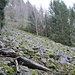 ... und hier im Blick nach oben. In diese Richtung ging ich weiter.