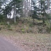 Hier an der Fahrweg-Spitzkehre ist der offizielle Einstieg in das Felsengelände Lachenfelsen/Hornfelsen. Auf dem Schild am Baum steht aber nur "Lachenfelsen".