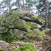 Vom Fahrweg aus erreicht man als erstes diesen höchsten Teil des Felsengeländes. Er heißt offenbar "Lachenfelsen".<br /><br /><i>Anmerkung: Dieser Felsen hat bisher keinen Wegpunkt bei hikr.org. Die Höhe ist 707 m laut einer Wanderkarte der Tourist-Info Forbach (siehe Karte im Anhang). Der von hikr-Kollegen Schubi auf seiner [tour162852 Tour] gesetzte Wegpunkt "Hornfelsen/Lachenfelsen/Eulstein" zeigt wohl nicht hierhin, sondern auf den südlichen Endpunkt des begehbaren Felsengrats. Dann aber erscheinen mir die angegebenen 660 m viel zu niedrig. Der südlichste Felsen des Grats sollte von den 707 m des Lachenfelsens aus gerechnet nur ca. 10 bis 20 m tiefer liegen, das wären dann etwa 690 m. Siehe hierzu auch das Foto, das ich vom Kipf (689 m) waagerecht hinüber auf den Bereich Lachenfelsen/Hornfelsen gemacht habe, und das eine grobe Einschätzung der Höhe erlaubt.</i>