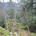 Danach geht es auf dem Bergvorsprung leicht abwärts weiter durch weiteres Felsengelände. Teilweise ist hier auch eine Trittspur zu erkennen. Wenn man der Spur folgt und immer die einfachste Route wählt, bleibt die Schwierigkeit bis kurz vor Schluss bei T2 bis T3.