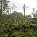 Schließlich geht es noch einmal hinauf auf diesen südlichen Abschluss des Felsengrats, oben mit T4 Gelände. Spätestens hier heißt der Felsen wohl "Hornfelsen".<br /><br /><i>Anmerkung: Die Höhe müsste etwa 690 m sein, also höher als die Angabe im Wegpunkt von hikr.org. </i>