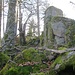 Ein Felsen auf dem Kipf ist erreicht. Dieser ist zwar von der absoluten Höhe her der höchste Punkt, aber noch nicht der markante Felsen, der von unten aus sichtbar war.