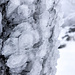 Schöne Eisbildung am Gipfelkreuz.<br />(Foto: Matze)